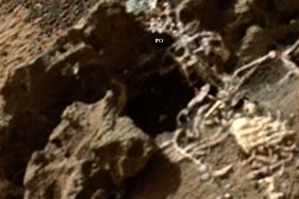 큐리오시티가 화성에서 촬영한 사진속의 외계인유골(?)사진. 사진=나사/패러노블 크루서블 