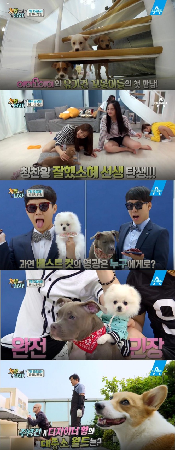 사진=채널 A 방송캡처