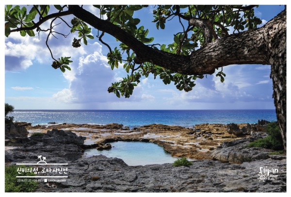 신비의 섬, 로타 사진전 포스터 / 사진=캐논코리아컨슈머이미징