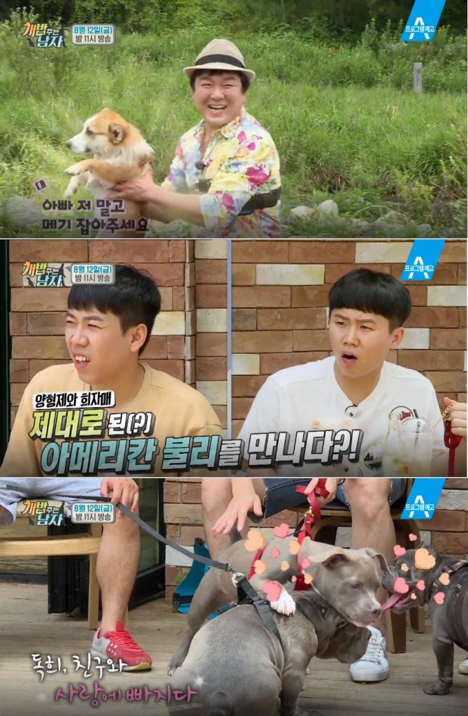 사진=채널A 방송캡처