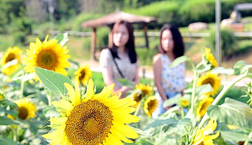 ì²˜ì„œ 24ì ˆê¸° ì¤' ì—´ë„¤ë²ˆì§¸ ì ˆê¸° ì¶