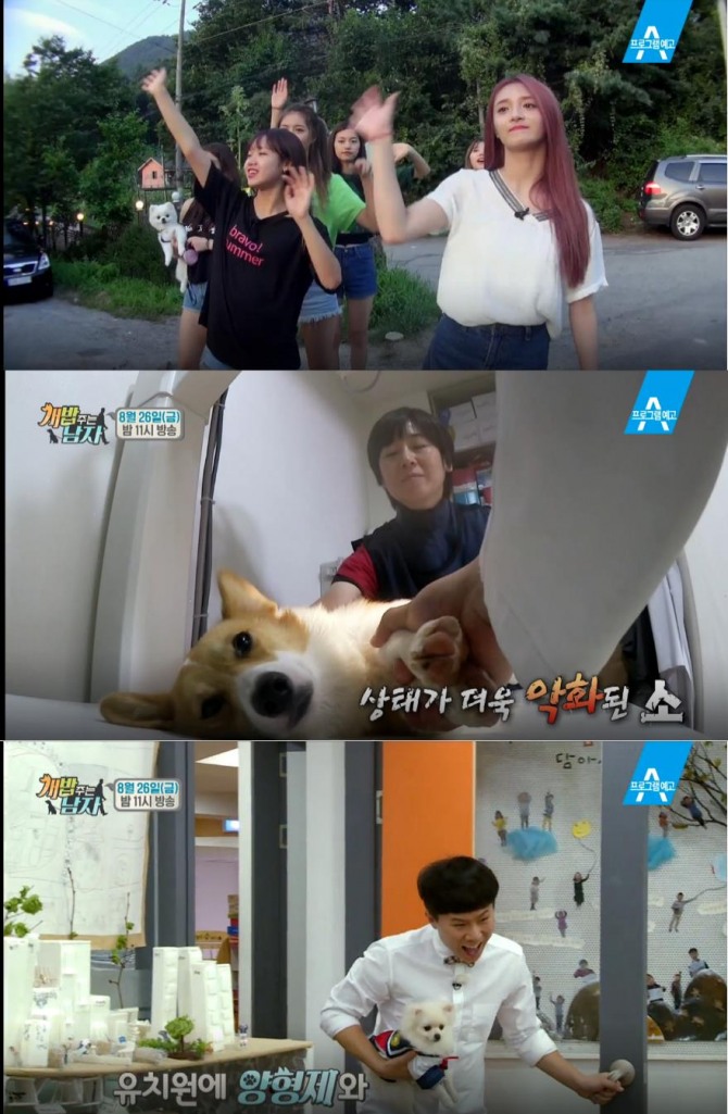 아이오아이(전소미, 김세정, 최유정, 김청하, 김소혜, 주결경, 정채연, 김도연, 강미나, 임나영, 유연정)-꼬봉, 퐁퐁 / 김지민, 박나래- 대중소 / 양세형, 양세찬-옥희, 독희/사진=채널A 방송캡처