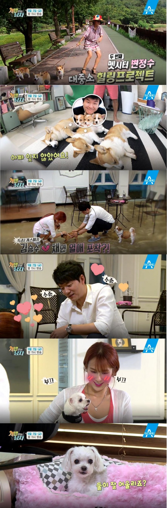 개밥 주는 남자, 이 정도는 키워야 진정한 견주? 변정수, 류승수, 채연 반려견 공개, 양세형, 양세찬(양형제) - 옥희, 독희 / 변정수 - 복보, 티비, 대, 중, 소 / 류승수, 채연 - 애견까페 /사진=채널A 방송캡처