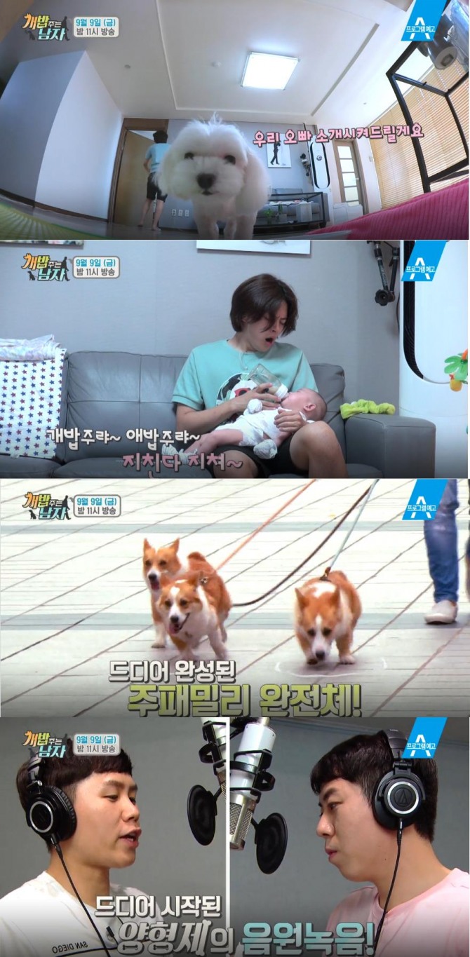 '개밥 주는 남자' 주병진, 양세형, 양세찬, 동호 개아범의 일상이요? 괜.찮.아.요, 주병진 - 대, 중, 소 / 양세형, 양세찬(양형제) - 옥희, 독희 / 동호 - 세동이 /사진=채널A