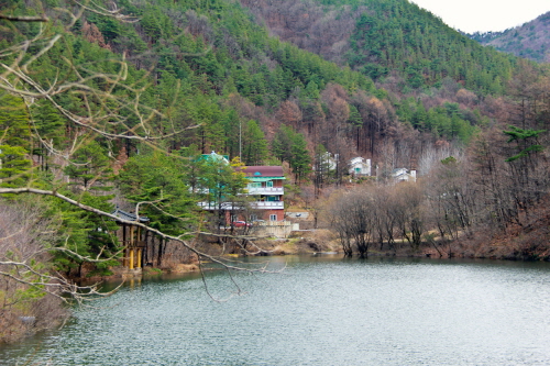 충북 보은 속리산말티재자연휴양림./자료사진