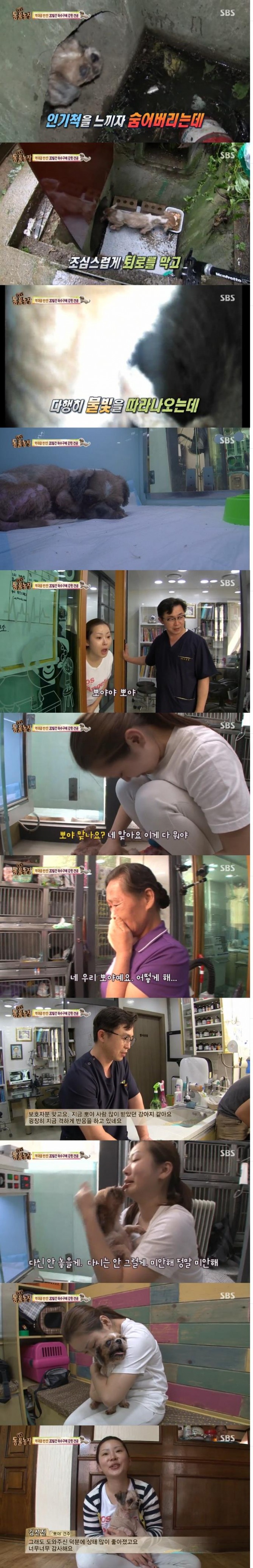 25일 오전 방송된 SBS 'TV동물농장'에서는 하수구에 20여일간 갇혔던 강아지 뽀야가 한달 만에 주인품으로 돌아가는 장면이 그려졌다./사진=SBs 방송 캡처