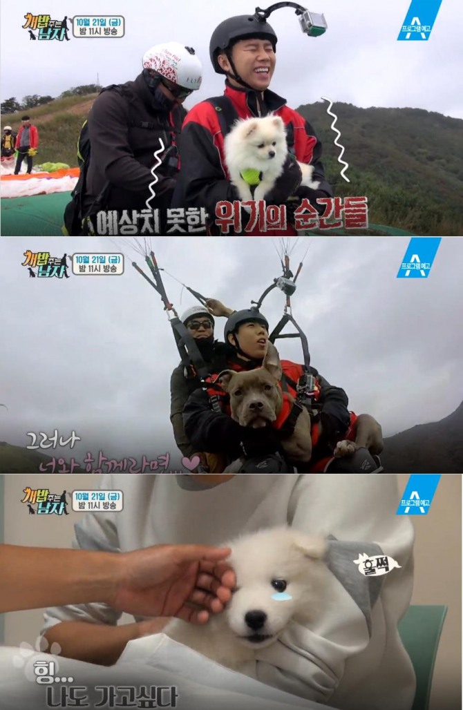 '개밥 주는 남자' 양세형&양세찬, 옥희&독희-애견 패러글라이딩! 동호, 수호-산책! 주병진, 대중소-청도여행 반려견 래프팅! - 주병진 - 대, 중, 소 (견종: 웰시코기) / 양세형, 양세찬(양형제) - 옥희 (견종: 포메라니안), 독희 (견종: 아메리칸불리) / 동호 - 수호(견종: 사모에드) /사진=채널A 방송캡처