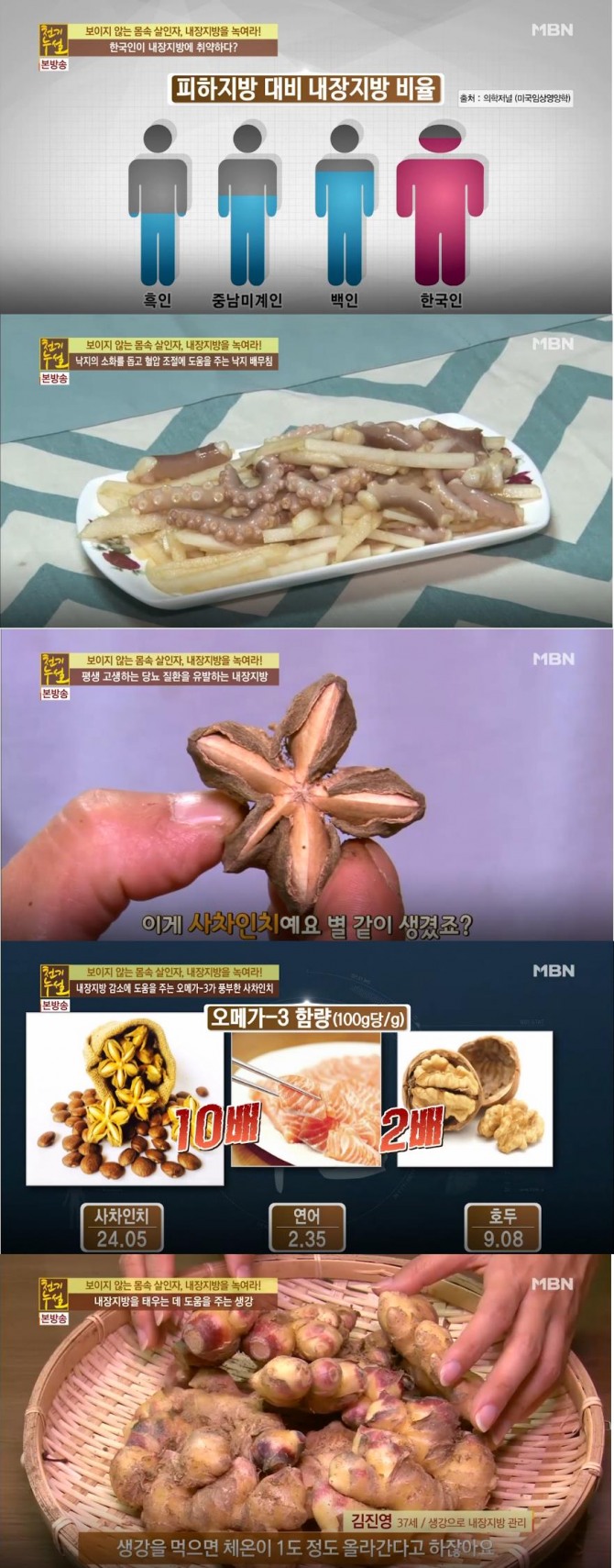 '천기누설' 내장지방 빼는 음식, 심장병, 뇌졸중, 지방간, 당뇨, 염증에 좋은 음식…사차인치, 낙지, 생강 효능효과, 요리, 지방 빼는 다이어트 /사진=MBN '천기누설' 방송캡처