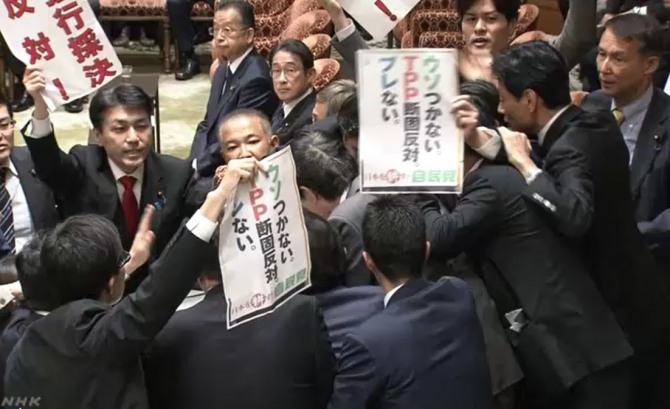 일본 국회에서 TPP승인안 가결을 둘러싸고 몸싸움을 벌이고 있는 국회의원들 / 사진=NHK 화면 캡쳐