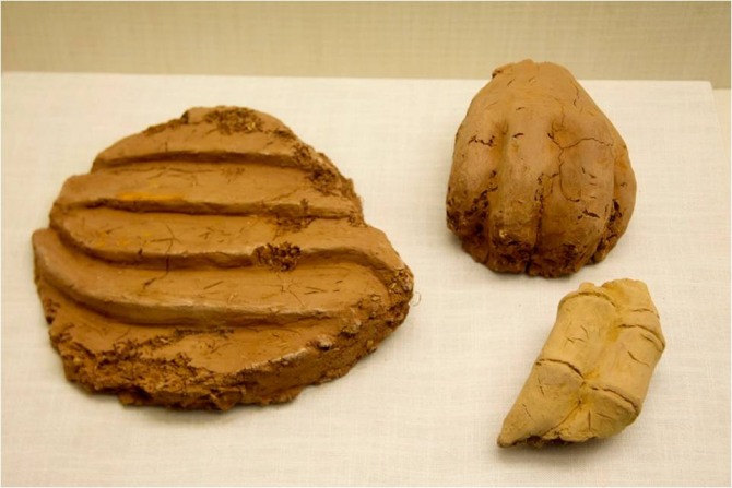 곰발 토기, 동석병용시대 홍산문화( B.C. 4500- B.C. 3000),  내몽고  자치구 우하량박물관