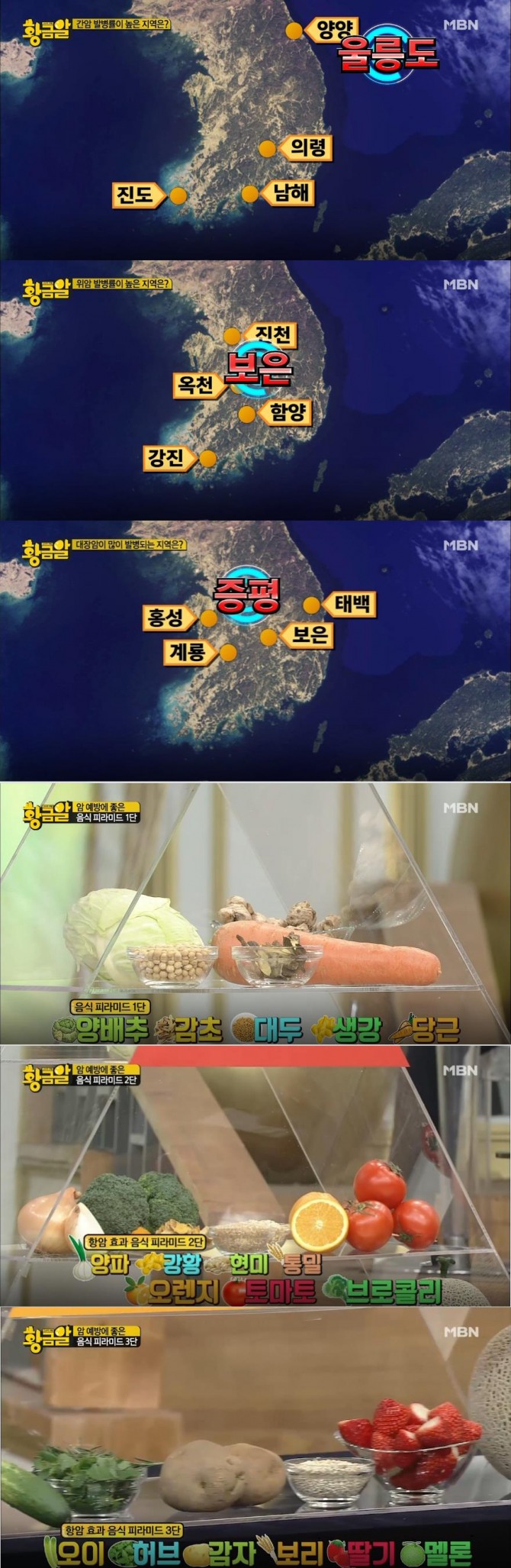'고수의 비법 황금알' 간암, 위암, 대장암 최대 발병지역은?…암 예방에 좋은 음식 /사진=MBN '황금알' 방송캡처('황금알' - 암은 죄가 없다! 항암 식품 찾지 말고 음식 피라미드를 기억하라!)