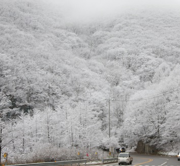 기상청 오늘 전국날씨 일기예보 /사진=뉴시스