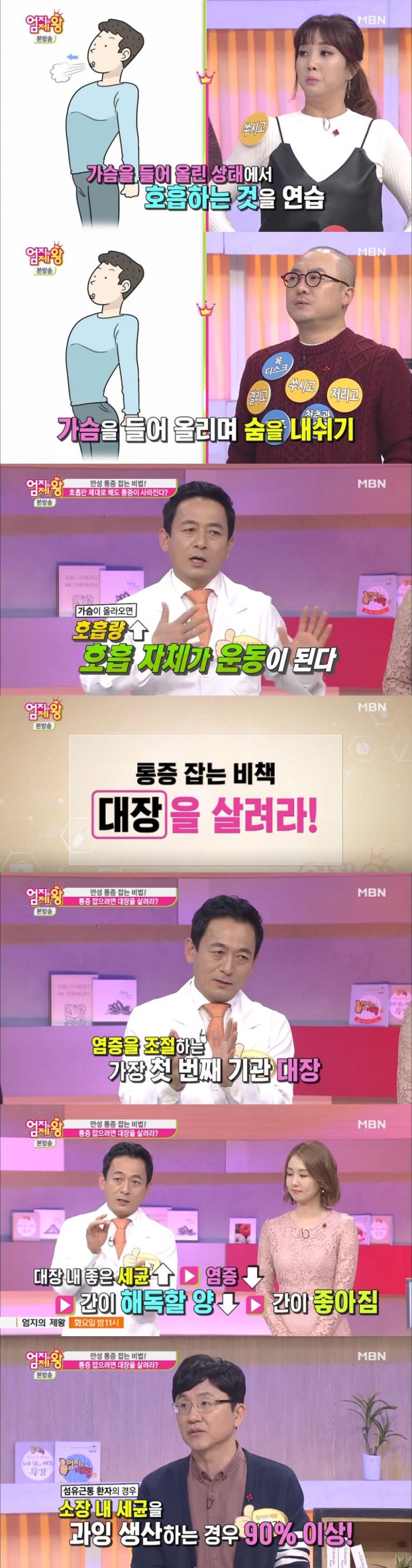 17일 방송된 MBN '엄지의 제왕'에서는 안강 박사가 출연, 통증을 줄이기 위해서는 대장을 살리라고 강조했다. /사진=MBN방송  캡처