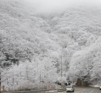 눈이 펑펑 쏟아지고 있다.  미세먼지 속에 폭설주의보. 기상청 서울 부산 대전 광주 인천 수원 눈 비상 /사진=뉴시스