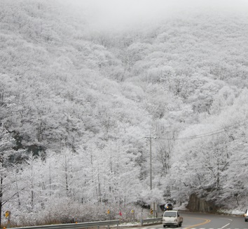 오늘날씨 눈 비상이다. 미세먼지 속에 폭설주의보. 기상청 일기예보 /사진=뉴시스