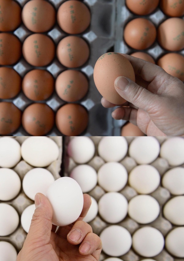 미국에서 수입된 달걀이 오늘(23일)부터 판매가 시작됐다. 사진 위쪽은 국내산 달걀로 가격은 1만원이다. 반면 사진 아래의 미국산 달걀은 8950원에 판매되고 있다. 뉴시스