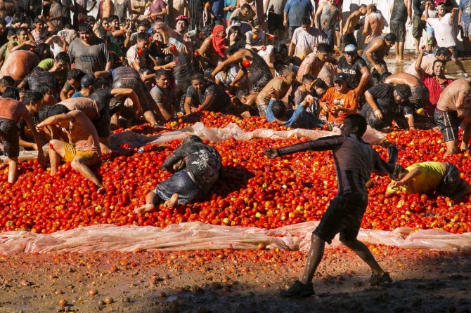 칠레의 수도 산티아고에서 480km 남쪽에 있는 퀼론의 여름 축제의 하나인 '토마토 전쟁'이 18일(현지시간) 벌어졌다. /사진=뉴시스