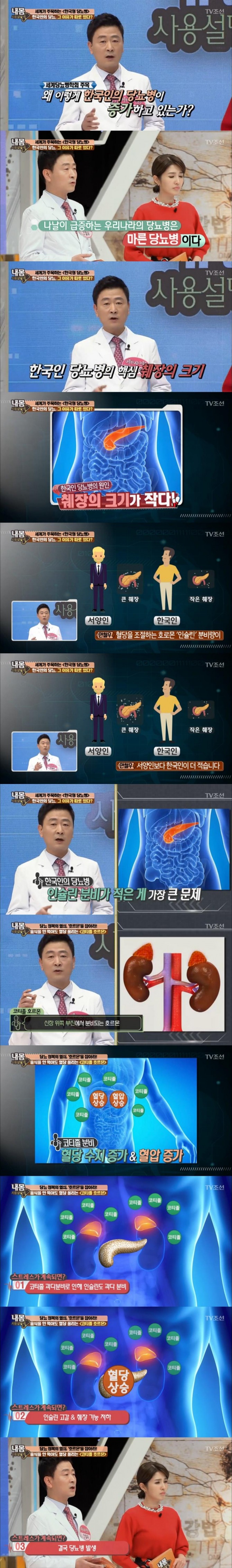 지난 17일 방송된 TV조선 '내 몸 사용설명서'에서는 당뇨병 특집으로 마른 체질에도 당뇨가 걸리는  '한국형 당뇨병'의 원인이 공개됐다./사진=TV조선 방송 캡처