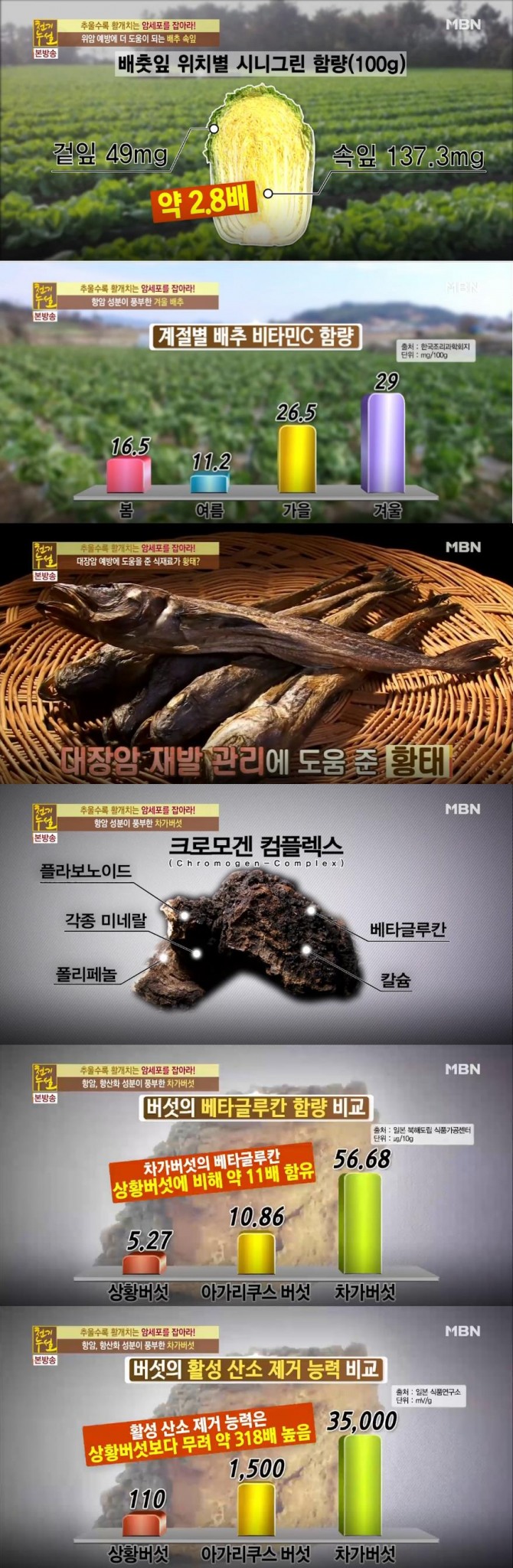 ['천기누설' 암치료! 암극복, 암재발 식단관리…위암, 대장암, 갑상선암 예방에 좋은 음식? 배추, 황태, 차가버섯 효능 효과 / 겨울철 좋은 배추 고르는 법, 황태와 북어의 차이점] 사진=MBN '천기누설' 246회 '추울수록 활개 치는 암세포를 잡아라!'편 방송캡처 ('천기누설' 배추, 황태, 차가버섯 가루 활용법)