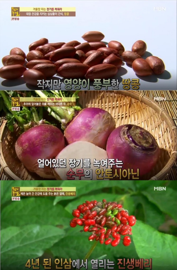 '천기누설' 대장암, 지방간, 위염, 위궤양 예방에 좋은 음식…땅콩, 순무, 진생베리 효능 효과! 면역력 높이는 음식 (247회) /사진=MBN '천기누설' 247회 '겨울잠 자는 장기를 깨워라!'편 방송캡처 ('천기누설' 땅콩, 순무, 진생베리 효능)