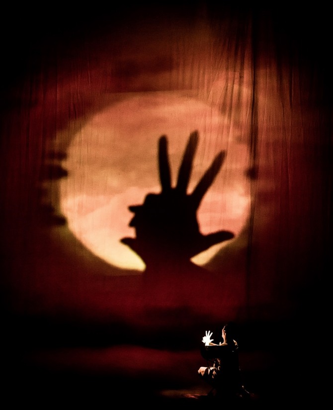 두 손과 빔프로젝터 한 대를 이용해 관객들을 아프리카 대자연으로 초대하는 이은결의 '섀도일루션', /사진=㈜이은결프로젝트 제공