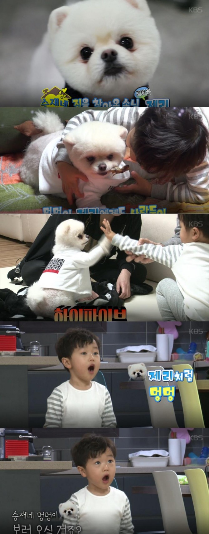 '슈퍼맨이돌아왔다' 고지용-고승재, 승재가 제리로 변신한 이유? /사진=KBS 2TV 일요일 예능 프로그램 '해피센데이 '슈퍼맨이 돌아왔다' 172회 방송캡처 ('슈퍼맨' '슈돌')