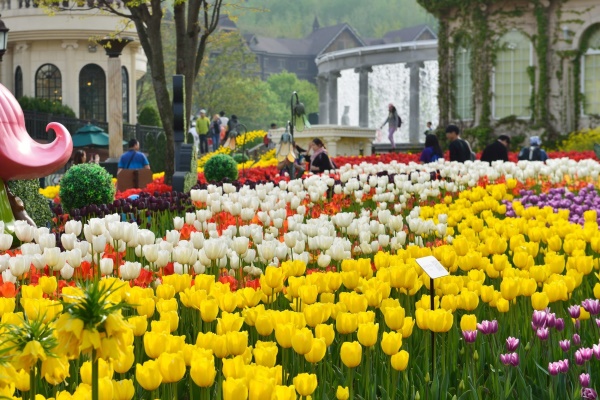 사진=에버랜드 제공