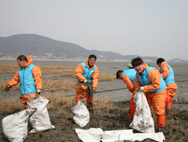 현대제철 인천공장 노동조합이 인천 강화군 화도면 동막해수욕장을 찾아 갯끈풀 제거에 나섰다. 