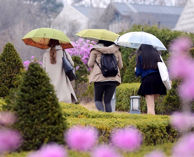 오늘 날씨와 미세먼지, 기상청 환경부 발표. 이화여대 학생들이 우산을 쓰고 교정을 걷고 있다/뉴시스