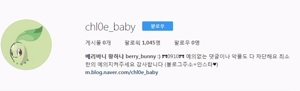 황하나 인스타그램 캡처.