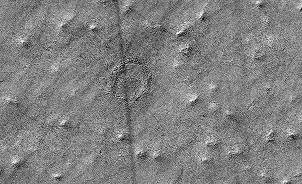과학자들은 화성표면에서 발견된 이상한 특징의 흔적을 조사하고 있다. 둥근원형모양의 흔적은 화성 남극에서 발견된 것으로서 나사의 화성정찰위성에서 촬영됐다. 사진=나사