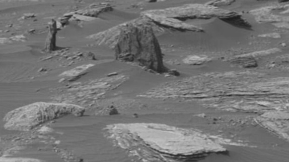 나사가 촬영한 사진속의 나무그루터기로 보이는 사진. 화성의 암석 가운데 하나로 보이지만 음모론자들은 이것이 과거 화성에 살고 있는 나무가 석화된 것이라고 주장하고 있다.  사진=나사/유튜브