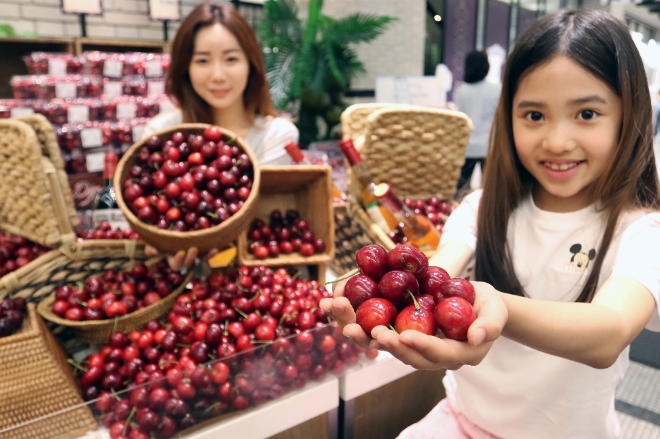 신세계는 10일부터 백화점 본점 식품관에서 올해 처음 캘리포니아에서 항공으로 직송해 싱싱한 햇 체리를 처음으로 선보인다. 14일까지 1만2500원(500g)에 판매한다. 신세계=제공 