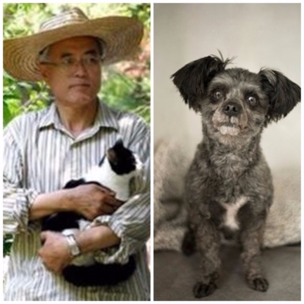 유기고양이 찡찡이, 유기견 토리