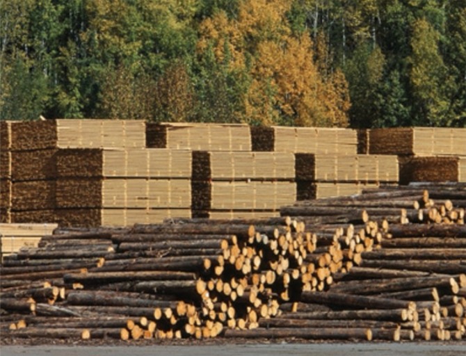 캐나다산 침엽수 목재에 대해 미국 상무부가 최고 24.12%의 상계관세를 부과해 양국의 '목재 분쟁'이 확대될 전망이다. 자료=canadawood