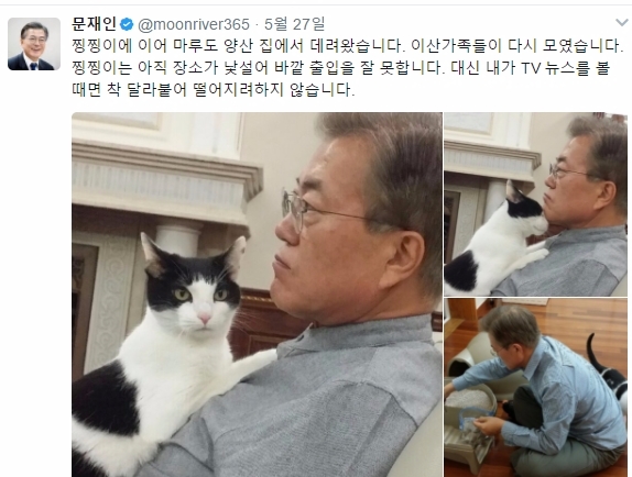 지난 27일 문재인 대통령이 자신이 기르고 있는 고양이 찡찡이를 소개했다. 사진=문재인 트위터 