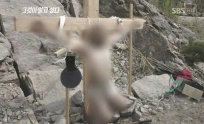 '문경 십자가 죽음' 사건. 사진=SBS '그것이 알고싶다' 캡처