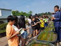 벼농사 체험학습 (익산 신흥초등학교)