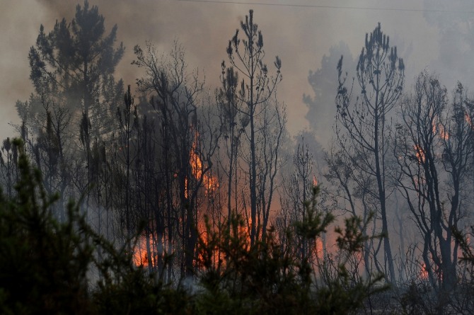 포르투갈 중부 레이히아주(州)에서 발생한 산불이 19일 현재까지 진압되지 않아 많은 희생자를 낳고 있다. 사진=AP뉴시스