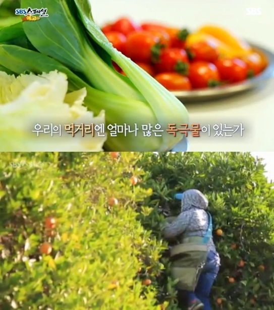 'SBS스페셜'에서 다룬 '밥상 디톡스'가 화제인 가운데 농약 뿐만 아니라 GMO식품도 조심해야 한다는 분석이 나온다. /출처=SBS