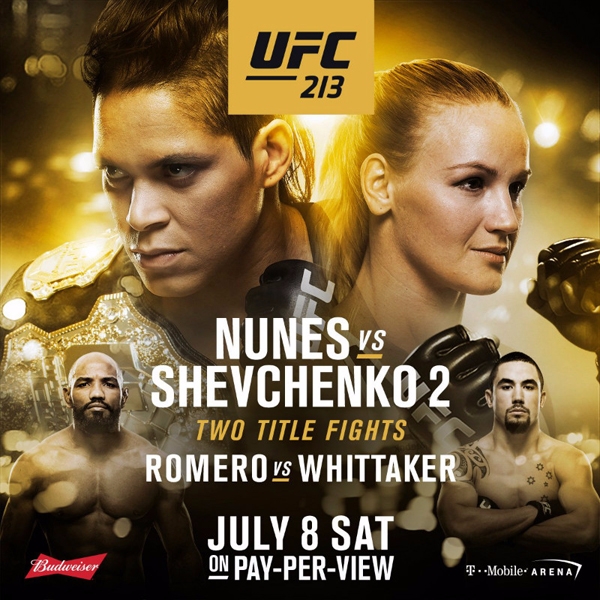 UFC 213 포스터