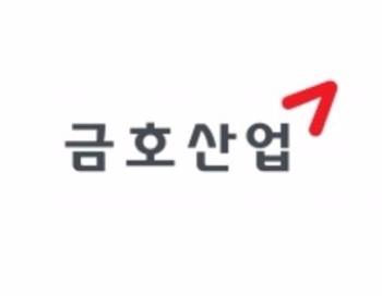 서울동부지검은 19일 광화문 금호산업 본사를 압수수색해 컴퓨터 하드디스크 등을 압수하고 직원 2명을 체포했다.