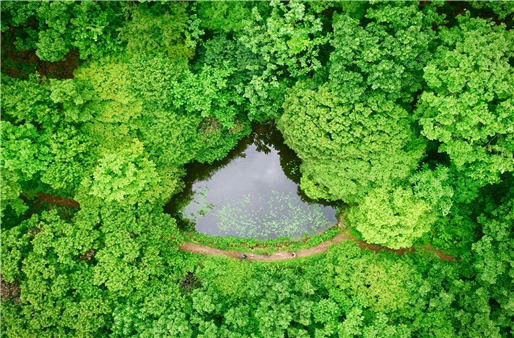 드론으로 촬영산 광덕산 신비로운연못 풍경