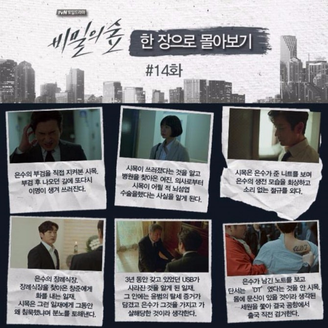 tvN  토, 일드라마 '비밀의 숲' 14화 한 장에 몰아보기. 사진=tvN 공식 페이스북 캡처