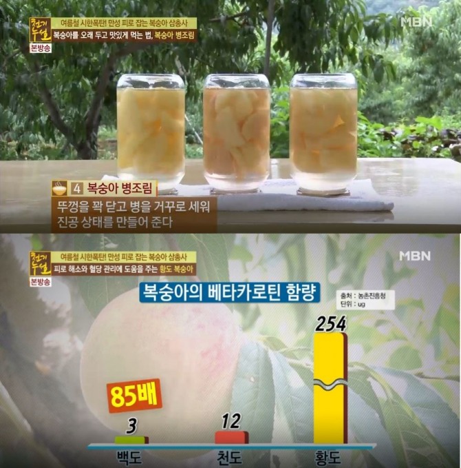 '천기누설' 더위·당뇨·염증·만성피로·독소배출에 좋은 음식 & 백도 복숭아 병조림 만드는 법 / 천도 복숭아 말리는 법…백도·황도·천도·개 복숭아 효능효과...만성피로로 인한 질환에 따라 골라 먹는 맞춤 복숭아가 따로 있다며 황도 복숭아, 천도 복숭아, 개복숭아(산복숭아, 돌복숭아)를 소개했다. /사진=MBN '천기누설' 269회 <‘여름철 시한폭탄! 만성피로 잡는 복숭아 삼총사! 황도복숭아, 천도복숭아, 개복숭아> 편 방송캡처