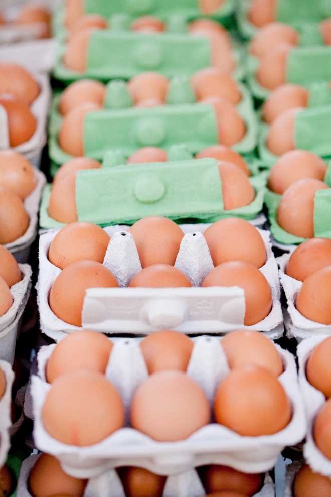 정부가 전국의 모든 산란계(알 낳는 닭) 농장을 대상으로 살충제 전수조사에 나섰다. 국내 대형마트와 슈퍼마켓에서는 계란 판매가 전면 중단되고 CU, GS25 등 편의점의 계란을 이용한 간편식 전 제품의 판매도 중단했다. 사진=글로벌 이코노믹