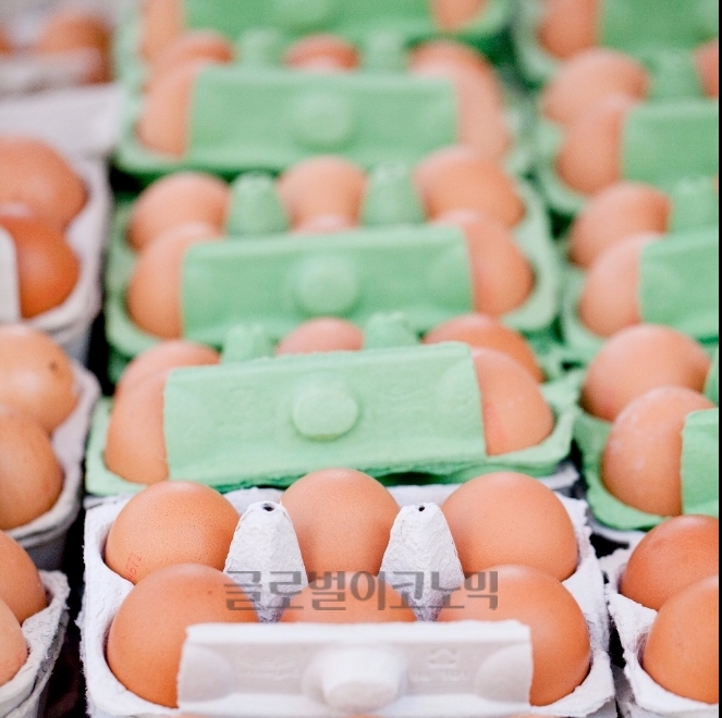 축산물품질평가원은 지난 17일부터  '살충제 계란' 진위여부를 즉시 확인할 수 있는 '등급계란정보' 조회 서비스를  제공하고 있다.