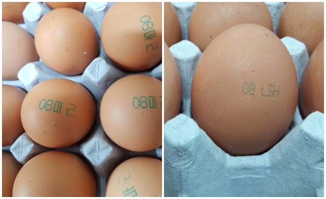 보건당국이 국내 산란계 농장으로 전수조사를 실시한 결과 총 6군데 농장에서 부적합 달걀이 검출됐다고 지난16일 밝혔다. 식약처=제공