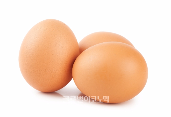 19일 식품의약품안전처 등에 따르면 18일까지 마무리된 정부의 전국 산란계 농장 전수조사 결과 계란에서 살충제 성분이 검출돼 부적합 판정을 받은 농장은 49곳으로 이 가운데 29곳(59%)이 HACCP 인증을 획득한 것으로 나타났다.
