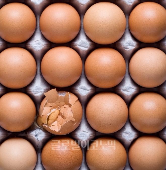 네덜란드 정부가 피프로닐 계란이 시중에 유통되고 있다는 사실을 알면서도 안일한 대책으로 '살충제 계란' 스캔들 사태를 키운 것으로 알려졌다.